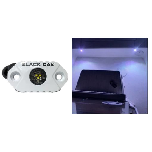 Black Oak Rock Accent Light - White LEDs - White Housing